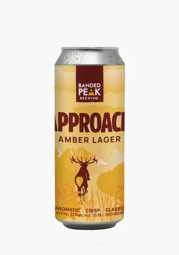 BP APPROACH AMBER-4PC